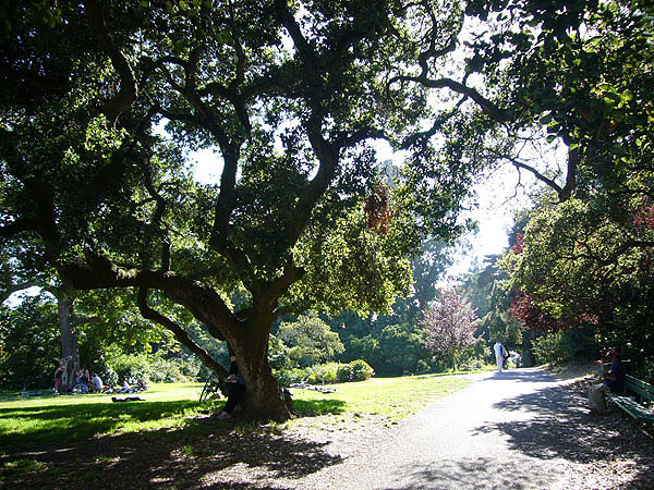 Golden Gate Park