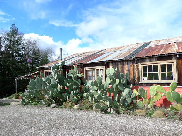 Alma Rosa winery