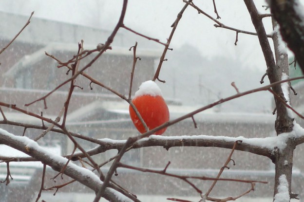 Winter is coming…